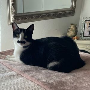 Meet your Posher, Kenny